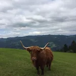 Fruehstueckspension Ochnerbauer *