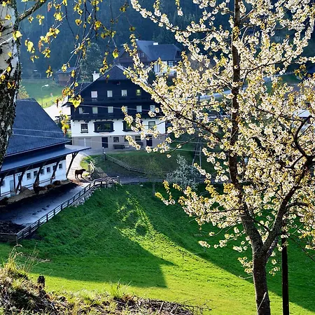 Fruehstueckspension Ochnerbauer * Kindberg