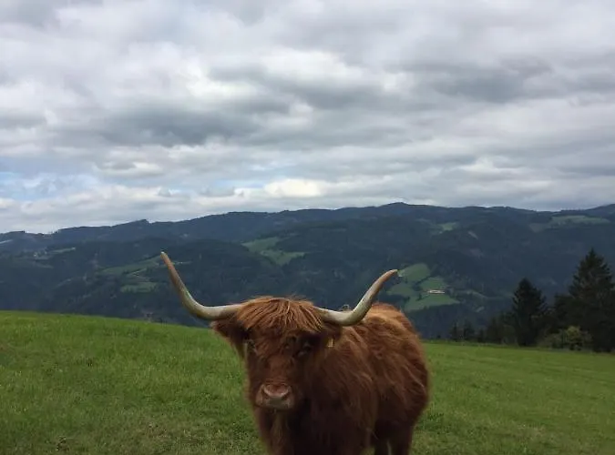 Fruehstueckspension Ochnerbauer *